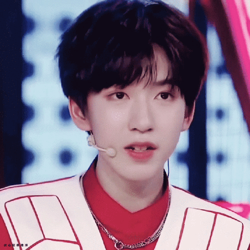 i猪猪和i兔兔进!一只贺峻霖让你同时拥有养和.