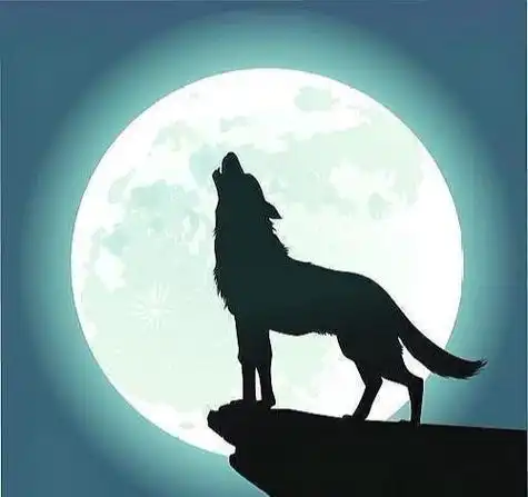 狼道,成大器的男人,都有这3种可怕的"狼性",快看你有吗