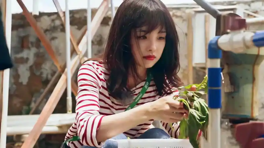 【王冰冰】路拍汇总|央视记者王冰冰的路拍(总集篇2)