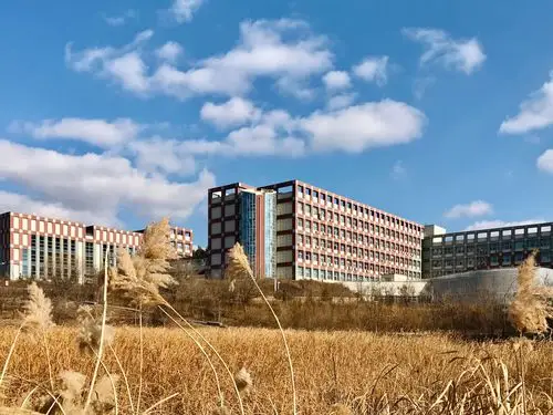 校园景色美,青春多美好