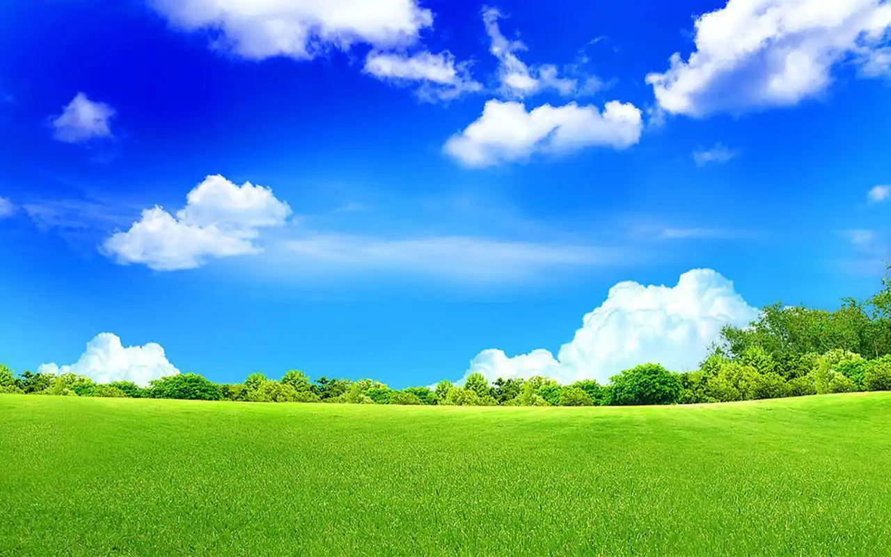 高清护眼绿色草原图片桌面壁纸