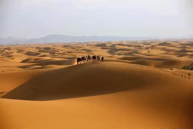 腾格里沙漠为何是中国湖盆最多的沙漠?沙漠中的湖水从何而来?