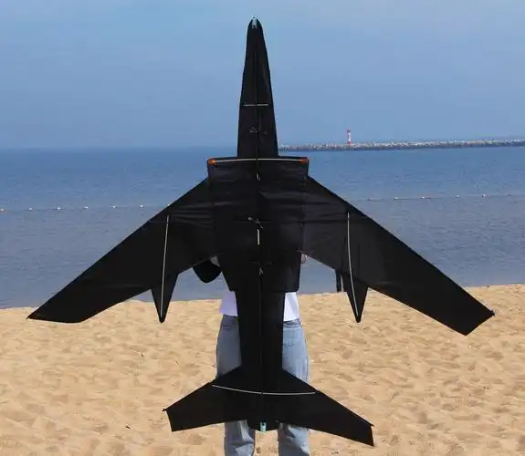 2米大风筝新款战机风筝