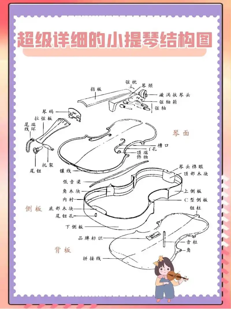 【小提琴】超详细的小提琴结构图#小提琴 - 抖音