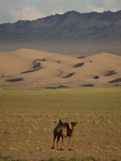 the gobi desert | lost and found adventures