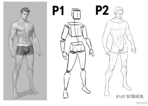 人物增加肌肉—角色人体肌肉绘制能力提升练习
