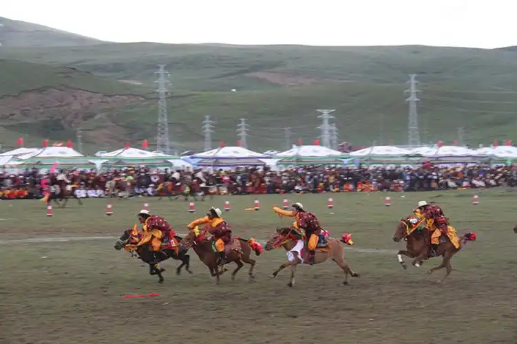 草色青青王熙凤的说谎艺术康巴女土司璇玑图嘉绒传奇最后一个军礼张英