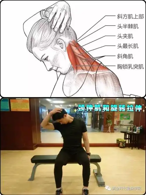 专业资讯缓解颈肩疲劳拉伸轻松应对
