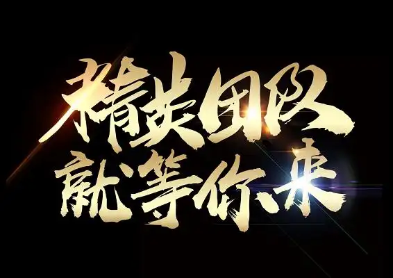 招聘精英团队就等你来手写艺术字体