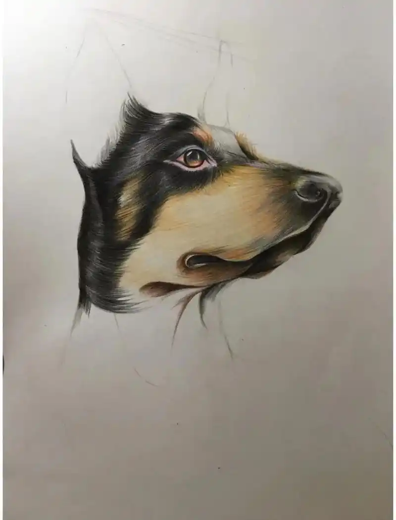 一起学画画 #美术老师的日常 #彩铅手绘 - 抖音