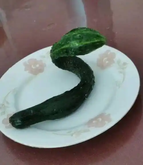 忧民的猫猫: △来源:@山乡辣嫂 远看诡异,近看想要喊救命的青蛙耳环