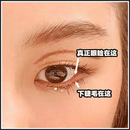 我还发现她一个心机,就是下睫毛她也贴出去很远, 在真正眼睑的位置