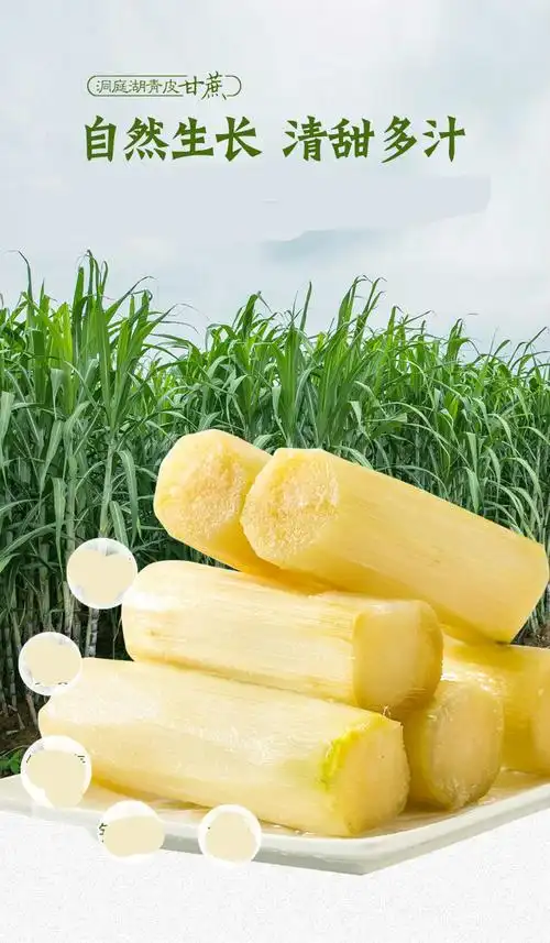 甘蔗新鲜现绿皮应季清甜水果湖南特产批发整箱农家青皮甘蔗优选中段9