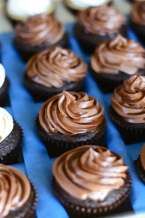 chocolate cupcakes with chocolate cream cheese frosting