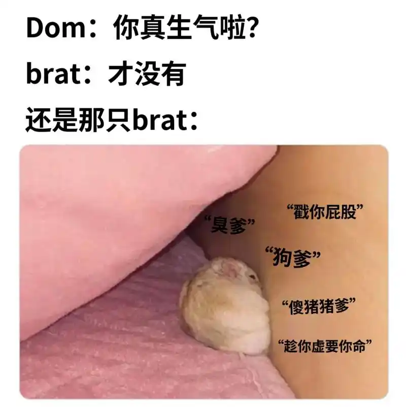 subxxxxxxx#梗图 #懂得都懂系列 #内容极其真实  - 抖音