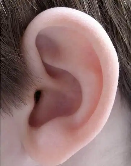 这3种耳朵的人,一生富贵不缺钱,你有其中一种吗?