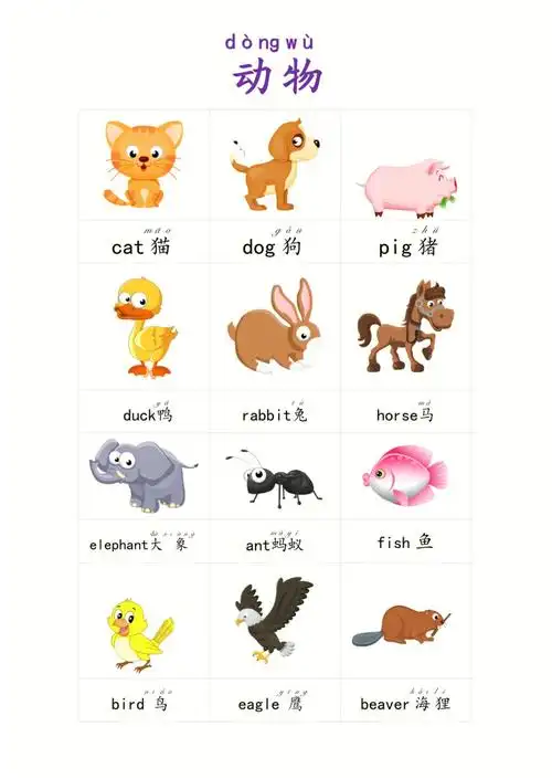 幼儿学生英语单词卡片 动物 图片英语拼音