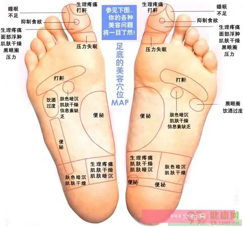 女性脚底穴位图