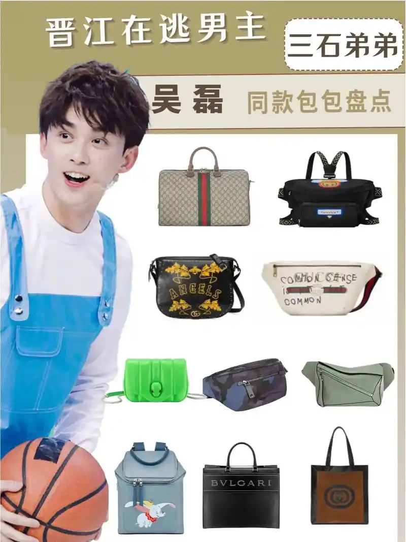 晋江在逃男主|吴磊同款包包盘点!