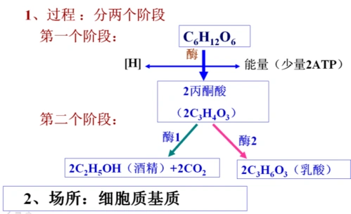 所有分类 高中教育 理化生 细胞呼吸导学案 概念:一般是指细胞在无氧