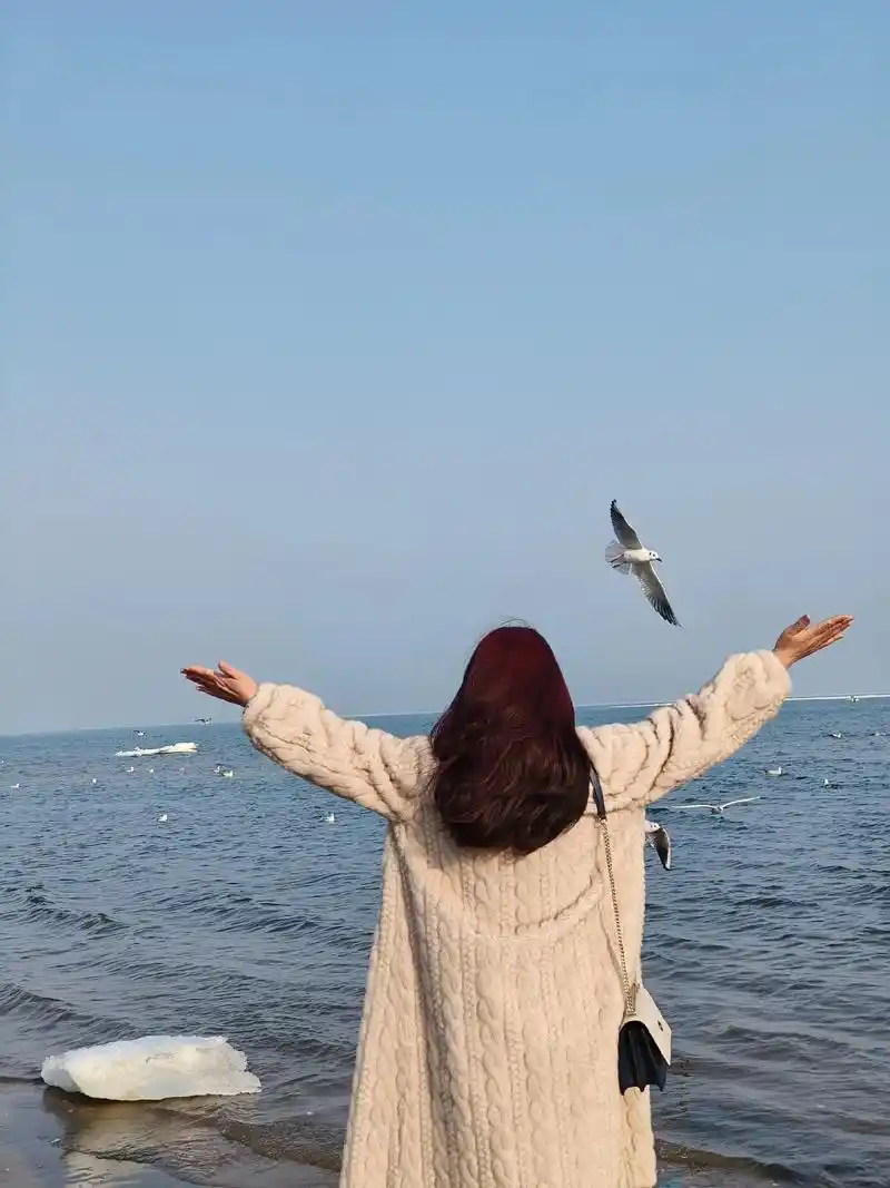 带你去看海鸥和大海 #这是冬天海边的颜色 #秦皇岛海边风景 - 兑趑