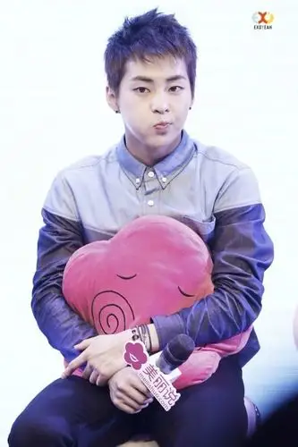 exo 金珉锡xiumin