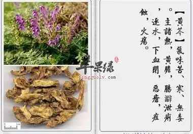黄芩的功效与作用