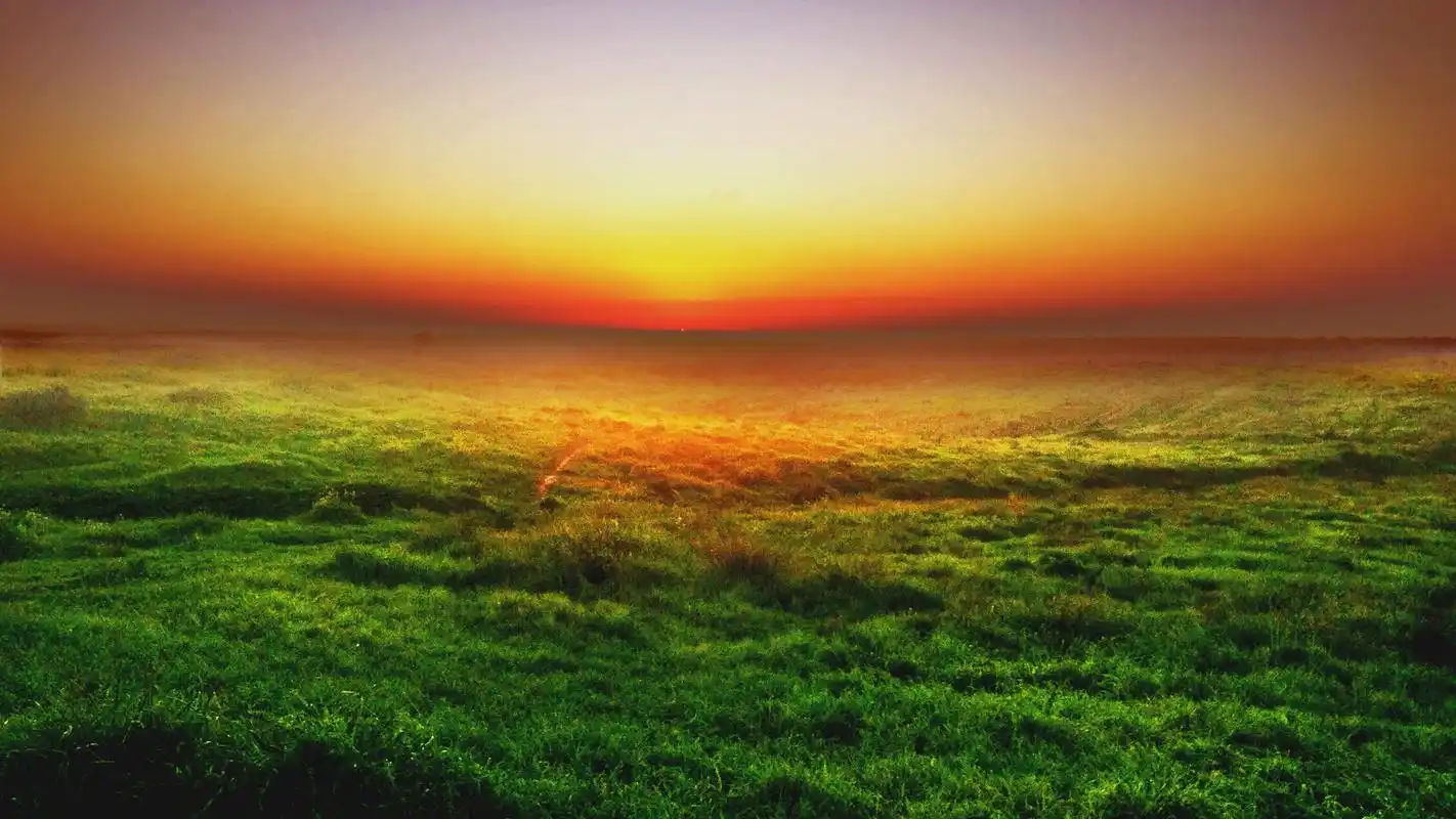 来几张护眼壁纸,放松眼睛,缓解疲劳