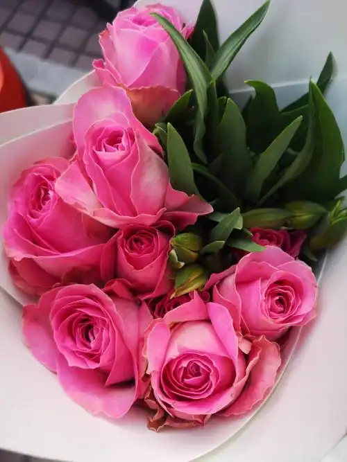 真鲜花图片大全大图(真鲜花图片大全大图唯美) - 123植物网