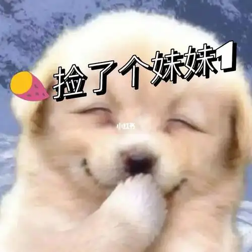 找了个妹妹我来宠