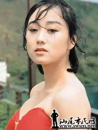 李连杰美艳二婚娇妻比基尼泳装照性感逼人(图)