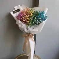 满天星干花图片头像【点击鼠标右键下载】