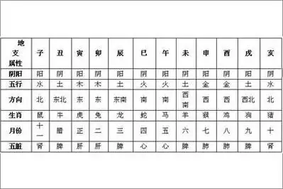话说楼层和生肖五行究竟有什么关联