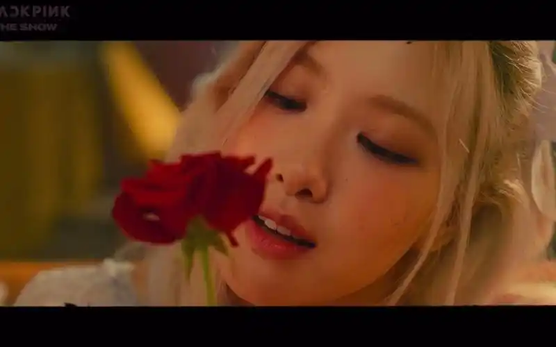 rose –gone m/v_哔哩哔哩_bilibili