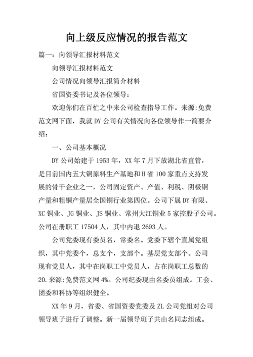 向上级反应情况报告范文.docx