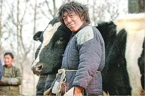 黄渤《斗牛》剧照