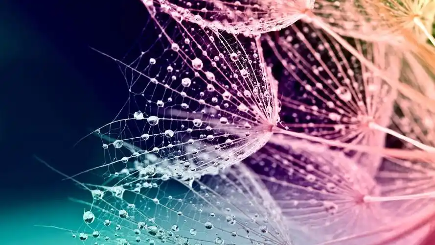 简约炫彩设计创意桌面壁纸高清大图预览1920x1080_设计创意下载_美桌