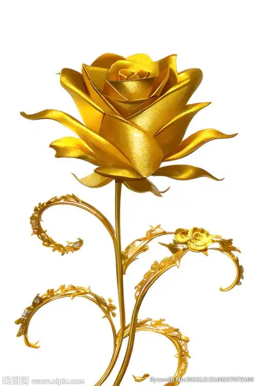 金色玫瑰花设计图__psd分层素材_psd分层素材_设计图库_昵图网nipic.