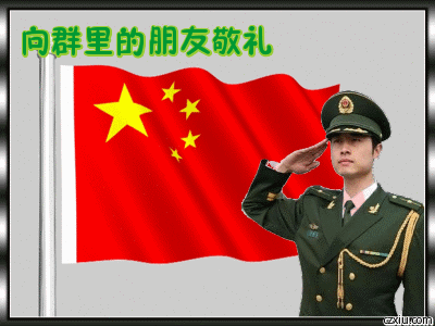 敬礼严肃守群站岗gif动图_动态图_表情包下载_soogif