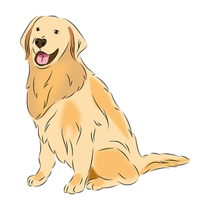 手绘矢量卡通金毛狗