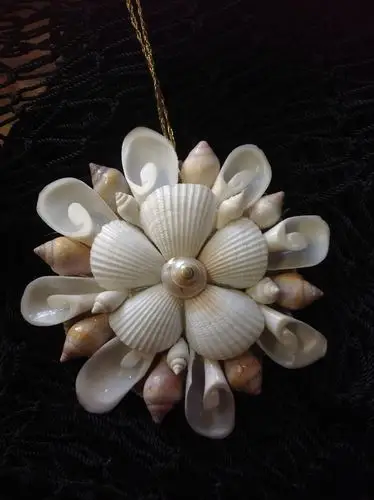 文青必备良品——贝壳首饰