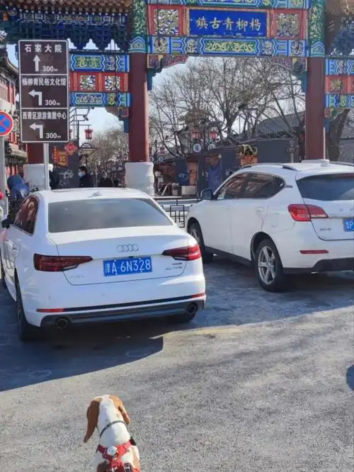 带皮去杨柳青古镇