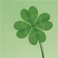 幸运草唯美头像图片