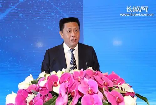 邢台市桥西区委书记李亚林在推介会上致辞.齐彦红 摄