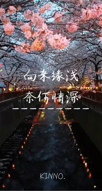 一段文字,一段感情.iphone壁纸,带字图片