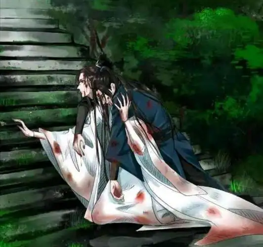 以为被楚晚宁抛弃,实则是楚晚宁用自己性命救了墨燃,并用受伤的躯壳背