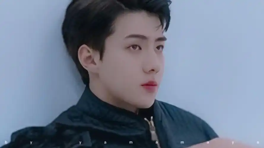 吴世勋 橙光素材