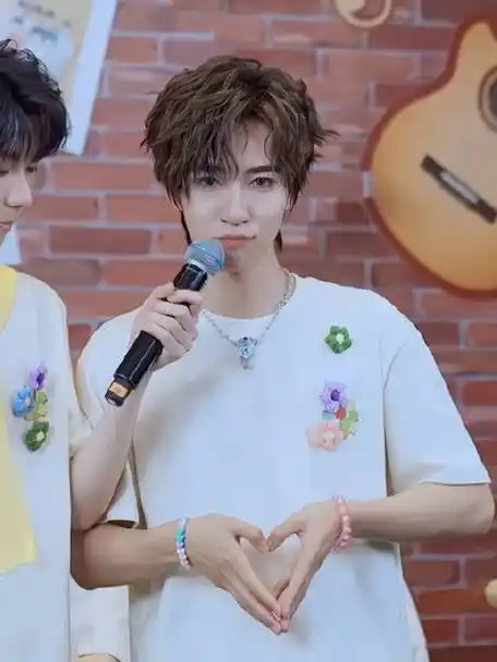 #贺峻霖一对一手势舞#