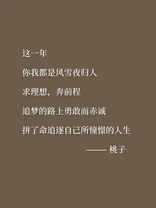 这一年你我都是风雪夜归人求理想,奔前程追梦的路上勇敢而赤诚拼了命