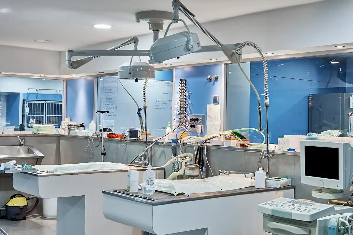 分子病理学实验室是医学领域的重要技术,旨在研究疾病的分子体系和